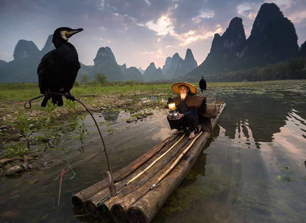 cormorant fishing li river Yangshuo Mountain Retreat